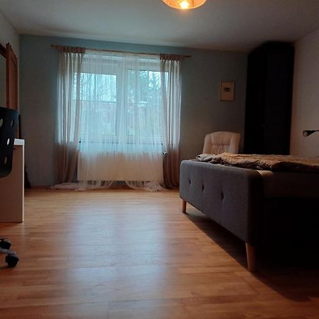 Apartman Dvorak 194 Pod Svatou Horou Příbram Екстериор снимка